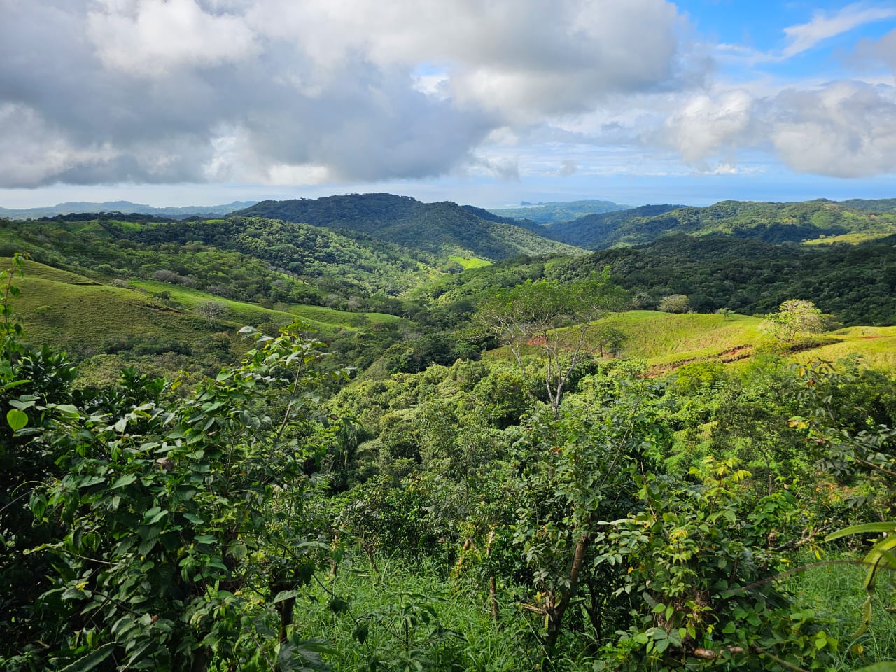 ATV Coffee Farm Tour Nosara