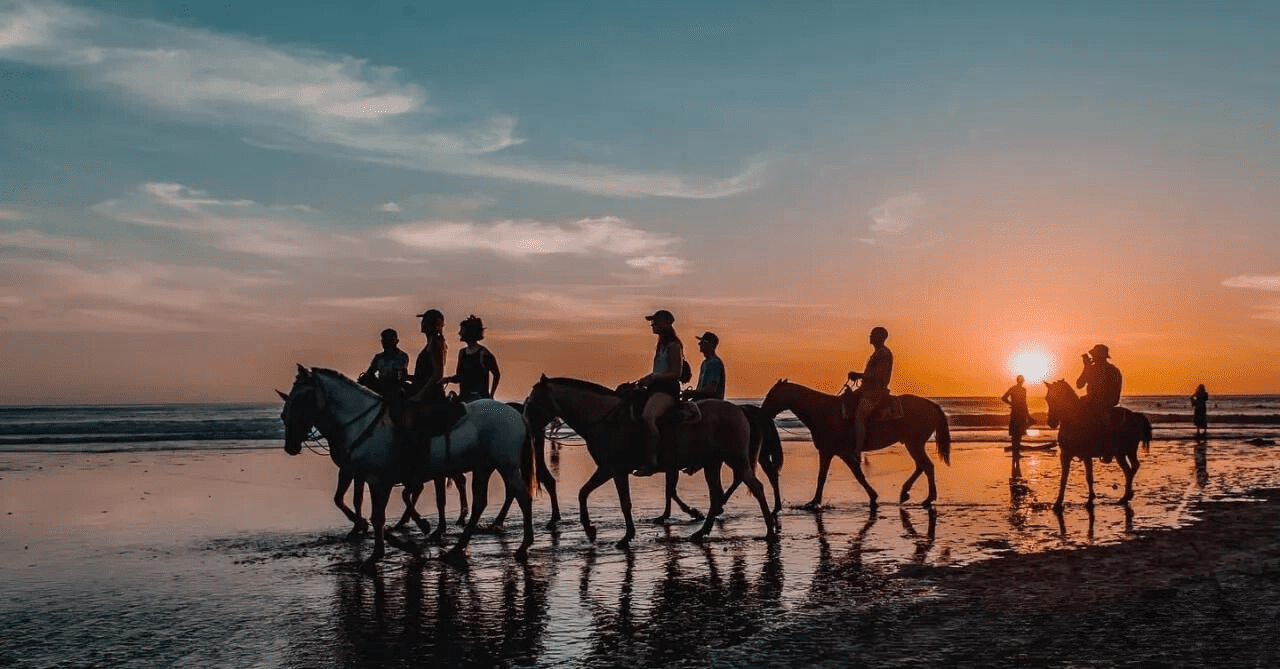 Sunset horseback tour Nosara